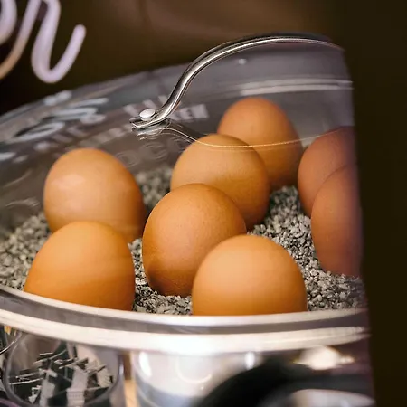 Mannheim-friedrichsfeld Hotel